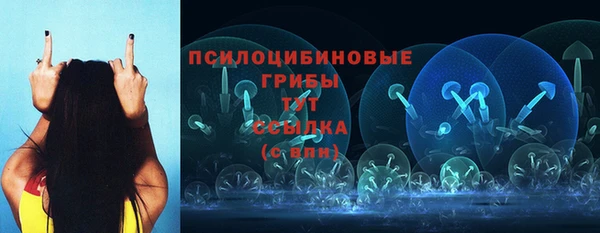 дживик Арсеньев