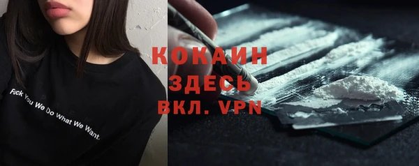 дживик Арсеньев