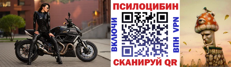 Галлюциногенные грибы Psilocybine cubensis  дарнет шоп  Новомосковск 